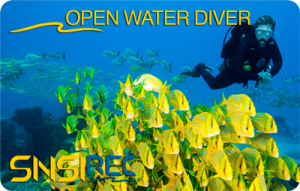 Tarjeta Open Water Diver