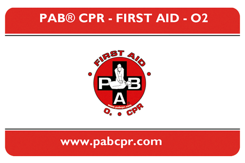 Especialidad PAB CPR FIRST AID - 02