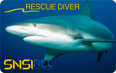 Especialidad Rescue Diver